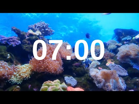 7 Minute Timer Relaxing Music Lofi Fish Background