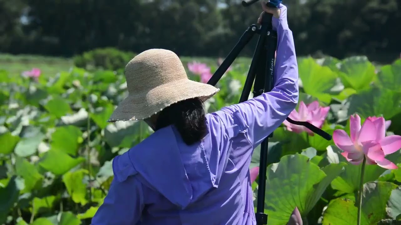 Resilience Meditation: Strengthen Your Mental Fortitude