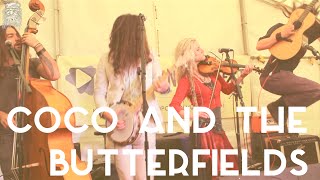 CoCo & the Butterfields - Walls // Counter Culture Sessions