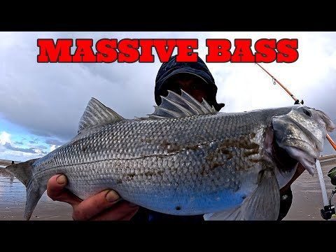 BASS A CAST IN NORTH WALES | CAN I FIND THE BIG BASS I'M AFTER ? SEA FISHING UK | MASTERFISHEMAN
