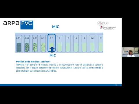 frame del video: studi di antibiotico resistenz..., visibile all'interno del canale youtube di arpa fvg