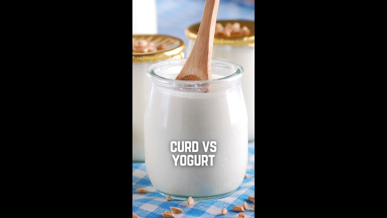 What's the Difference between Curd and Yogurt A Food Show with Kunal Kapur | #Dahi #Shorts #Yogurt
