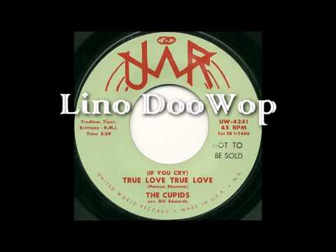 The Cupids - (IF YOU CRY) True Love True Love (United World Records) Teener/Doowop