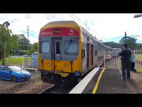 Sydney City Transport Vlog 156: Transport Vlogs for Sydney's Meet N Greet at Niagara Park