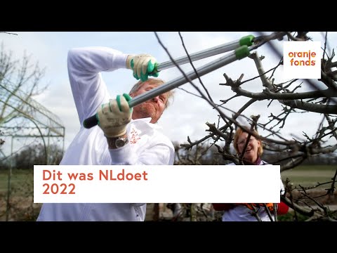 , title : 'Dit was NLdoet 2022!'