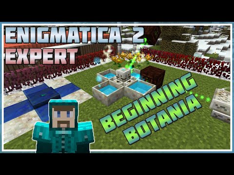 Beginning Botania - Minecraft: Enigmatica 2 Expert #29