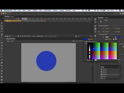 Adobe Animate CC 2017 Animating Colour  Using Shape Tween For Beginners