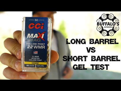 .22 MAGNUM RIFLE VS REVOLVER IN BALLISTIC GEL (CLOSE RANGE)