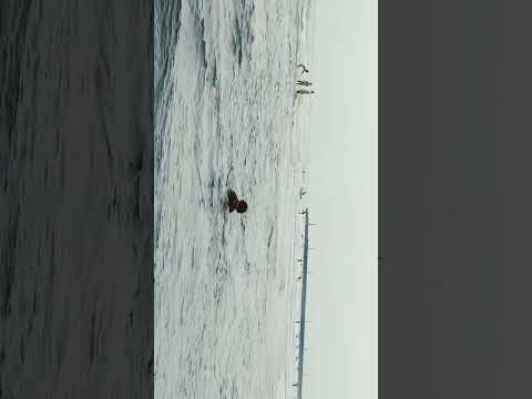 Ruthvij @ Yilan Beach 🏖️