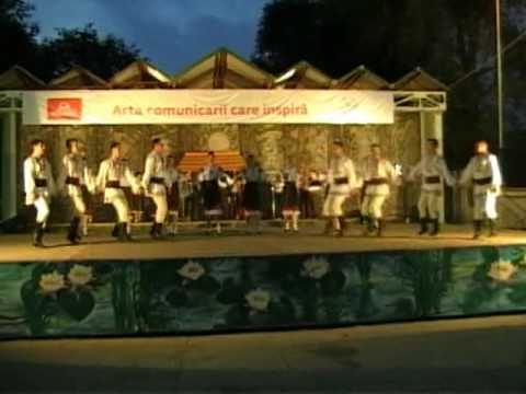 Vintuleţ - Coşerul şi hangul