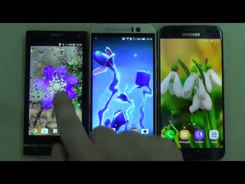 Spring Flowers Live Wallpaper Video