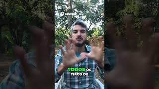 Seu Cão com Vermes  Descubra os Tipos e a Solução Completa!
