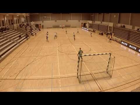 17 01 2020 A   FT Houthalen samenvatting