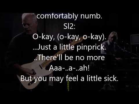 Comfortably numb, Pink Floyd, backing track without guitar solo, karaoke lyrics