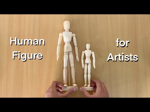 Human Figure Wooden Model 🏃🏻‍♂️ | Mannequin for Artist | 🖌🎨🧑🏼‍🎨