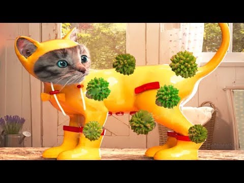 Gatinho Fofo Aventuras | Desenhos Animados Divertidos - Video para Crianças