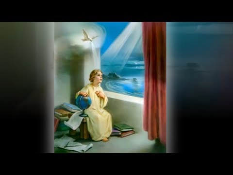 Xuân đã đến rồi - Như Mai