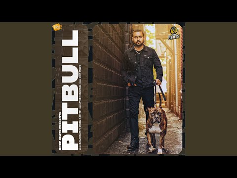 Pitbull