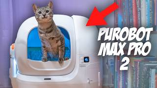 PETKIT Purobot Max Pro 2 Review – An AI Smart Litter Box That Tracks Your Cat’s Health!