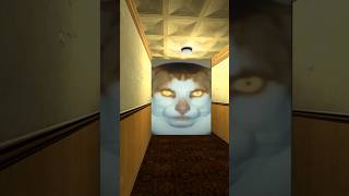 この猫怖すぎる #shorts #memes
