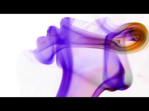 Convok x Koolbear - J'essaie