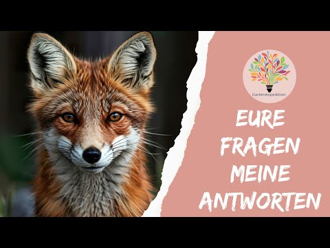 Naturgarten Q&A: Wiesen abmagern, Moos ansiedeln & Neophyten bekämpfen