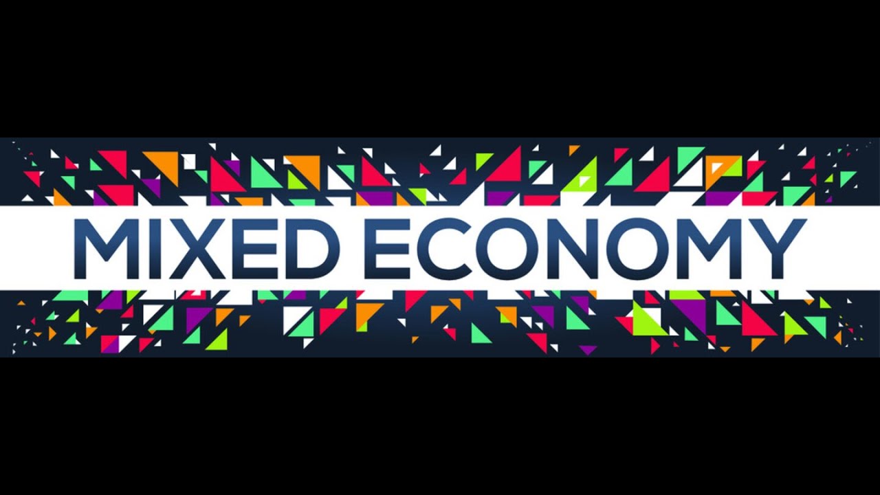 Economics Class 9 || Types of Economy (Mixed Economy)
