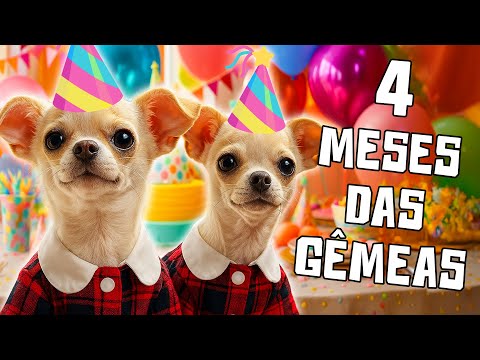 PARABÉNS CLARA E NEVE!!!!