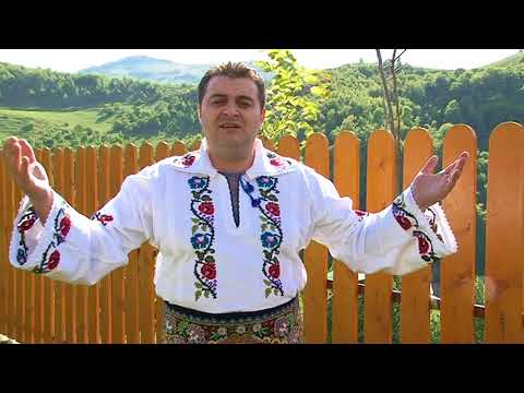 Ciprian Picovici - Niciodata n-am fost sluga