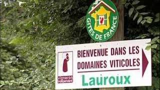 preview picture of video 'Domaine de Lauroux Vineyard Part 1'