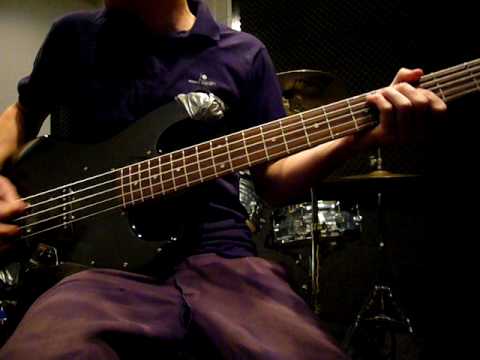The Order of the Fly Rot Bass Cover