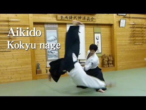 【Aikido】Kokyu Nage‐Shirakawa Ryuji sensei