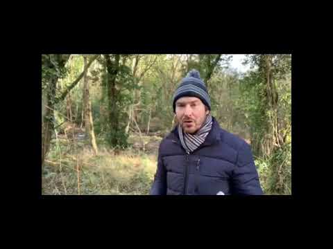 Colin's Weekly Vlog - Episode 2