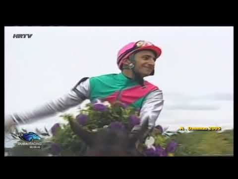 Intercontinental - 2005 Breeders' Cup Filly & Mare Turf G1