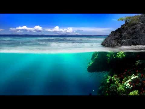 Tony Igy   Suboceanic HQ