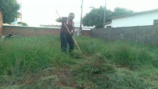 LIMPANDO O LOTE PARTE UM