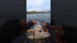 Download lagu casting ✅ Minnow 5 gram #mancing #castingfishing #mancingmania mp3