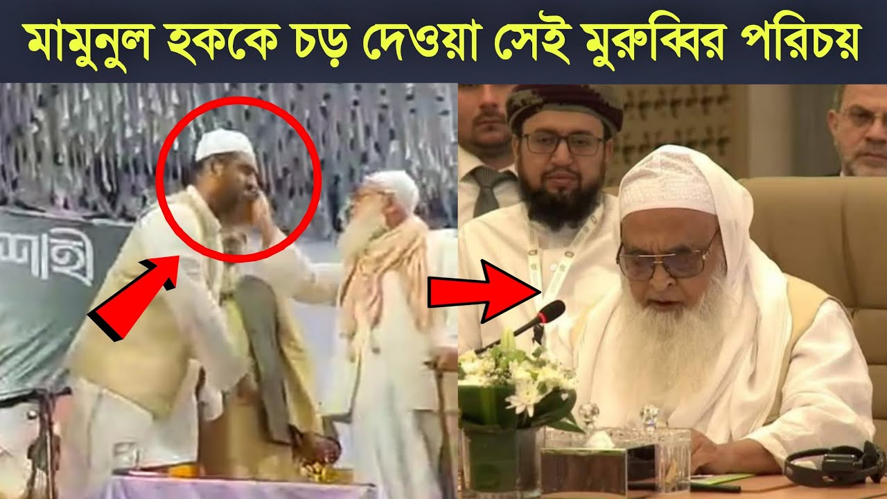 The identity of the elder who slapped Mamunul Haque | Biography of Mahmudul Hasan | Mamunul haque...