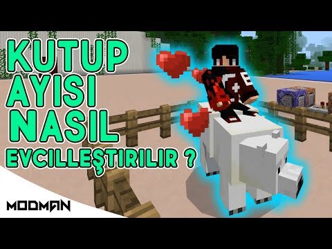 KUTUP AYISI NASIL EVCİLLEŞTİRİLİR // MODSUZ // MİNECRAFT