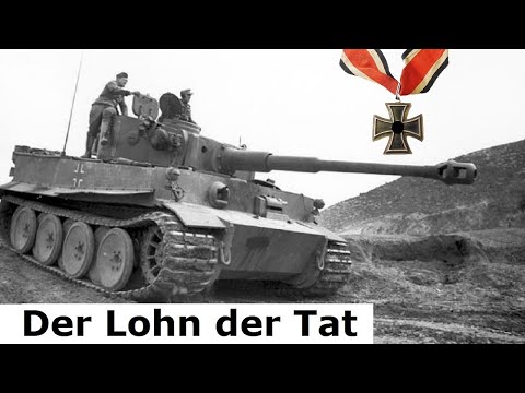 Mit dem Tiger zum Erfolg / Beschwitz