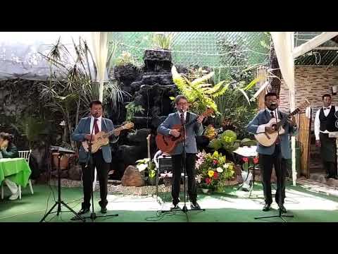 Alma Romantica - Desesperadamente