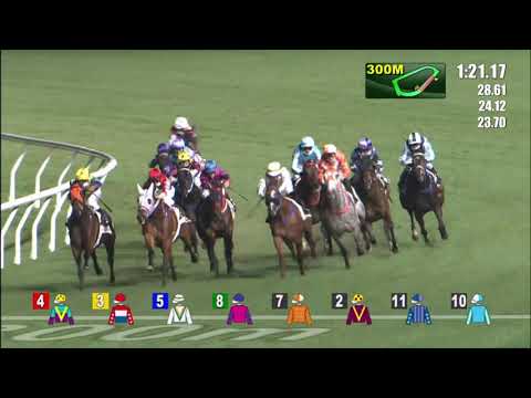 16/12/2020 (272) V Chevaliers -  A Badel