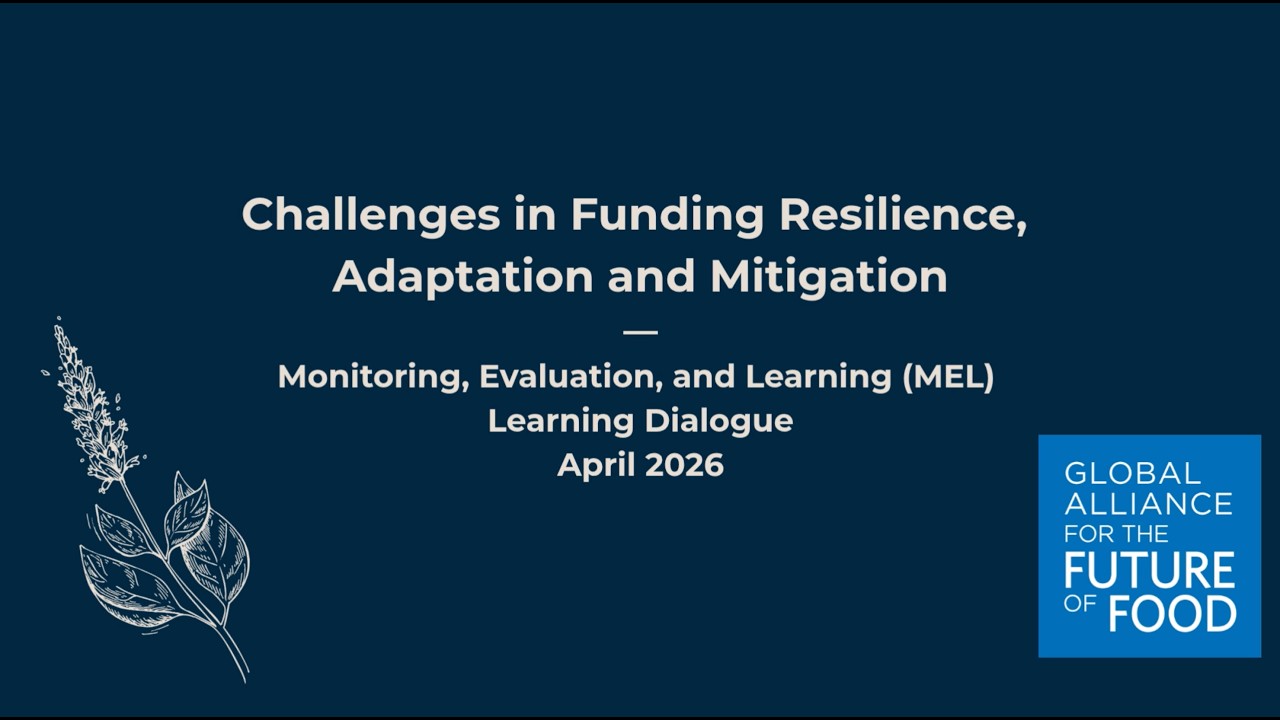 Challenges in funding resilience, adaptation and mitigation