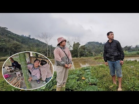 Thu asked Hoi for help so she could plant the rice in time for the season.