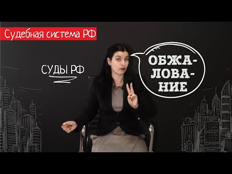 Обжалование решения суда: стоит ли подавать апелляцию или кассацию?