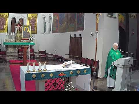 Homilia ks. prof. W. Chrostowskiego 14.02.2021 (Uzdrowienie trędowatego)