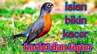 Download lagu MASTERAN KACER ISIAN BIKIN KACER KONSLET DAN FIQTER mp3