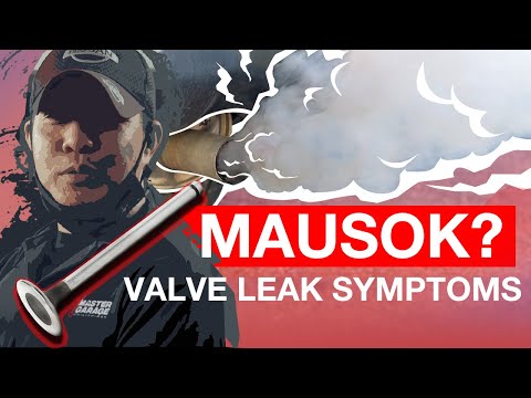 SMOKE PROBLEM | VALVE LEAK | CAUSES & SYMPTOMS