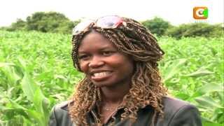 The Millionaire Farmer