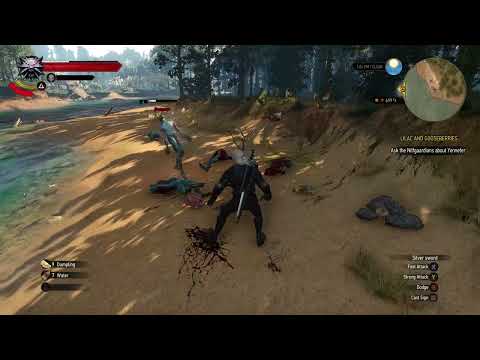 The Witcher 3 Temerian with Gesheft Sword